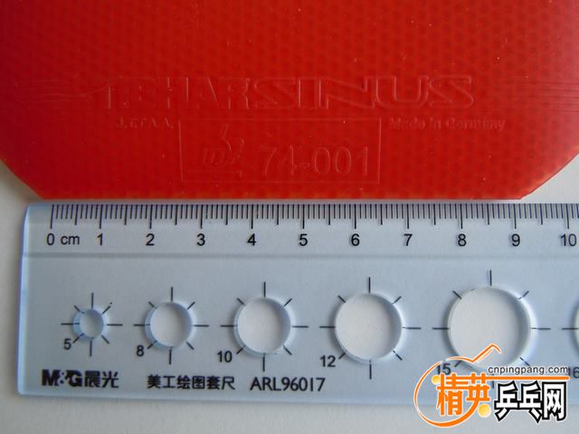 DSCN2498.JPG