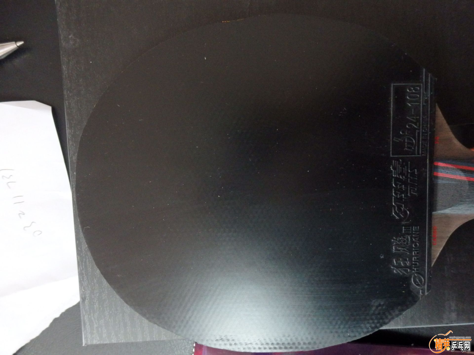 P3291141.JPG