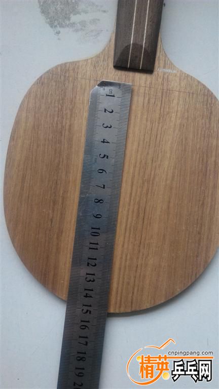 �½��ļ���IMG_20160331_125135 (��).jpg