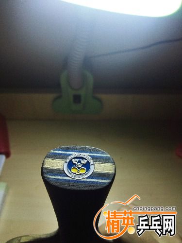 IMG_20160331_073844.jpg