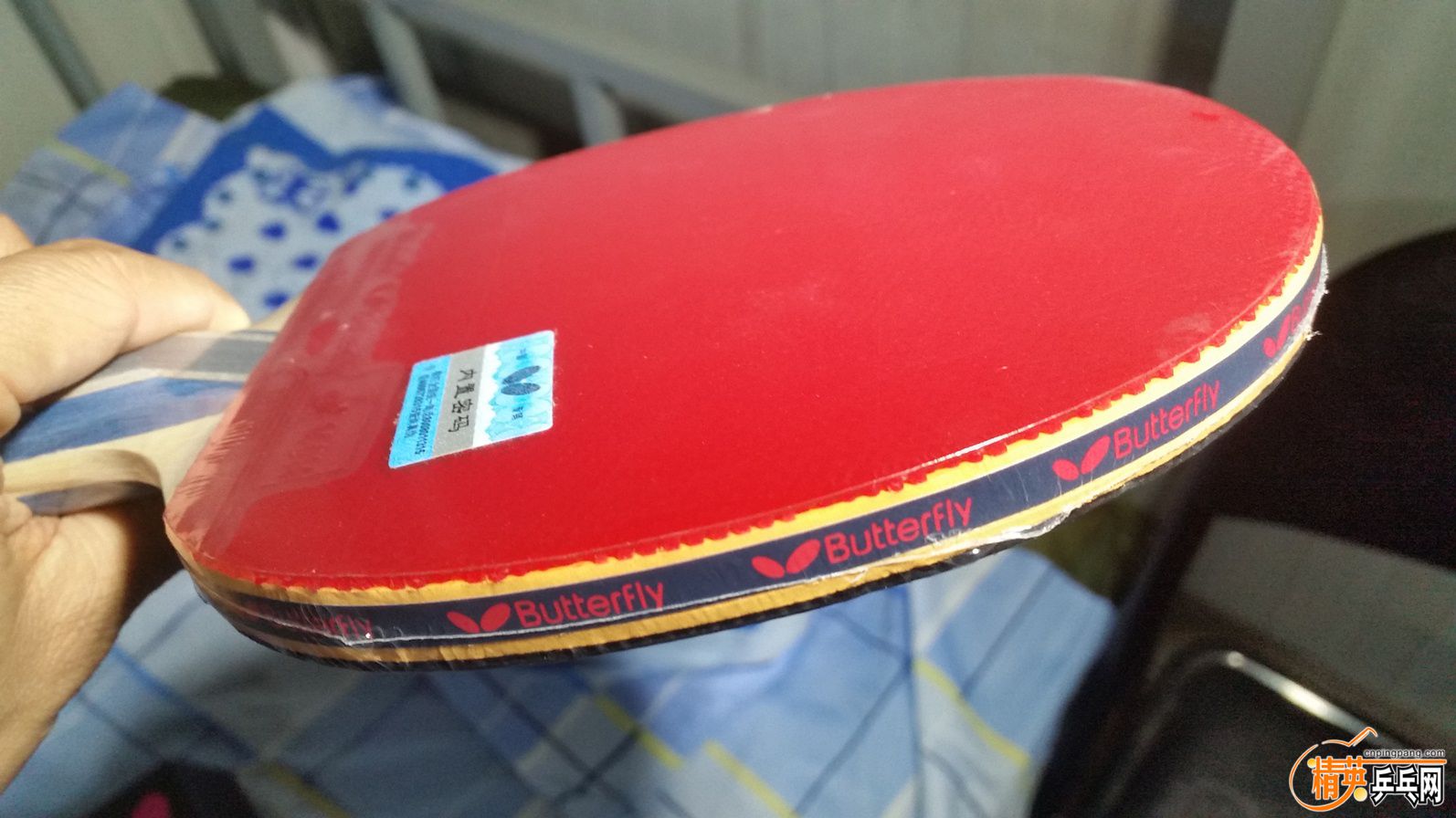 20151211_205110.jpg