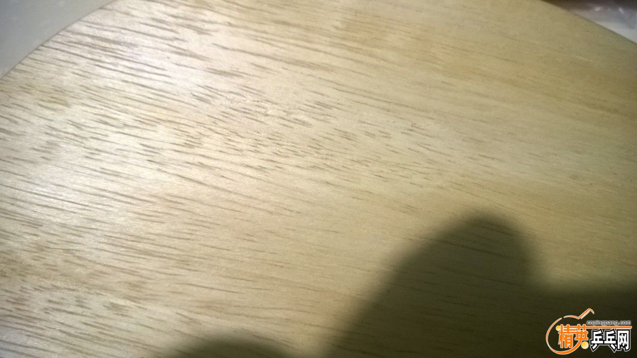 WP_20160403_021.jpg