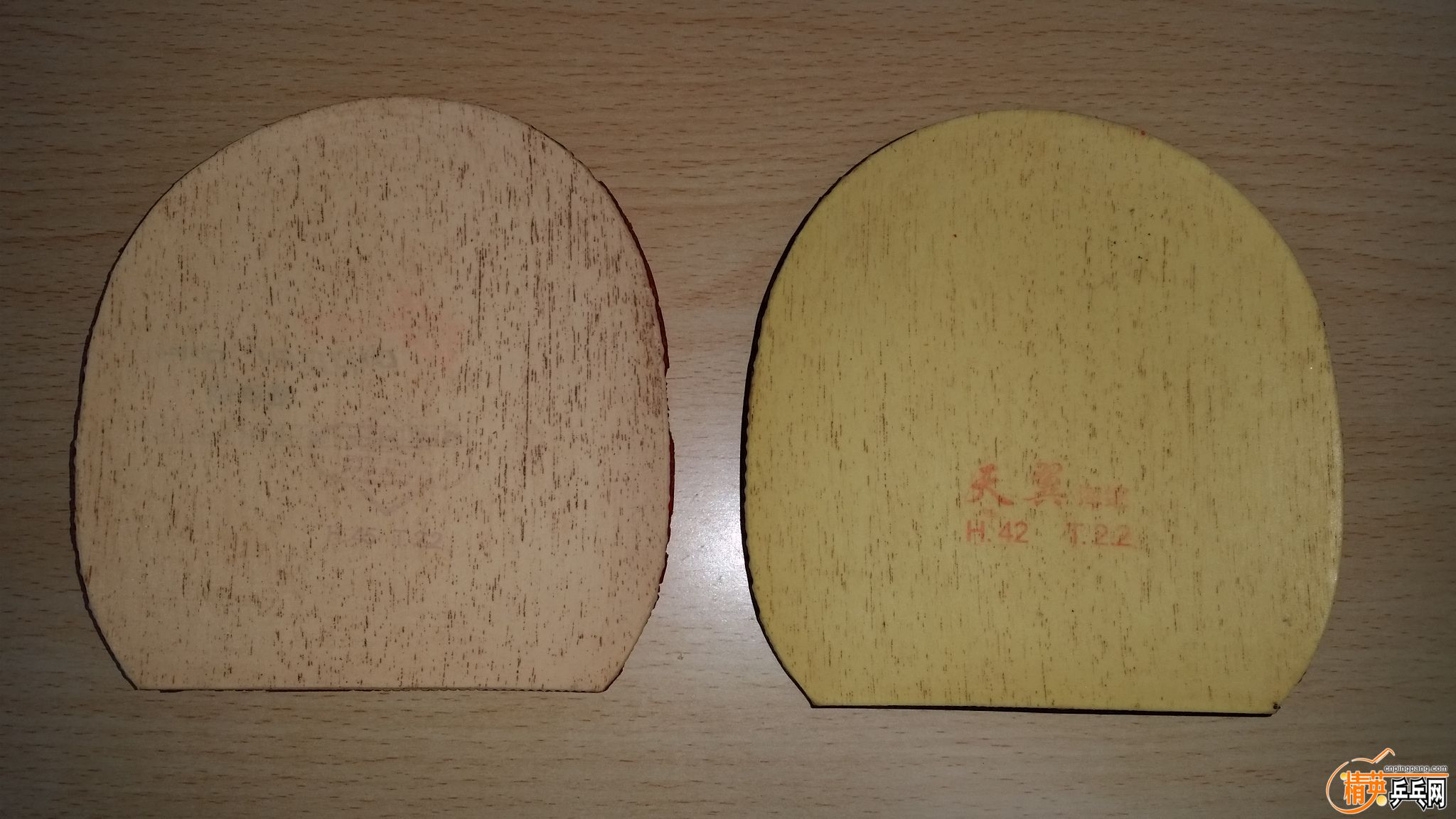 20160404_102024.jpg