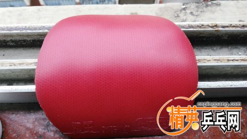 IMG_20160404_160547.jpg