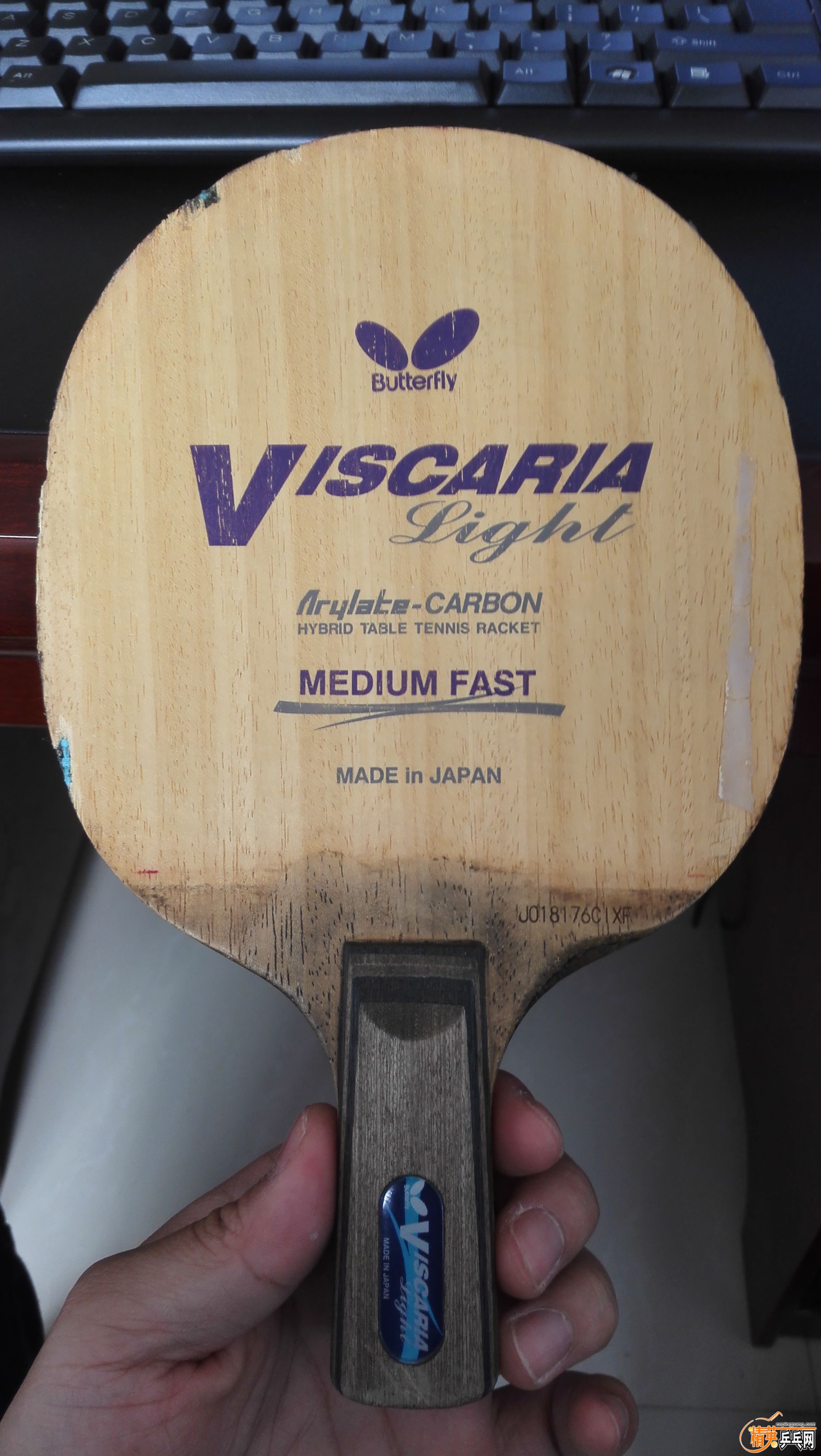 ���ͺ�����