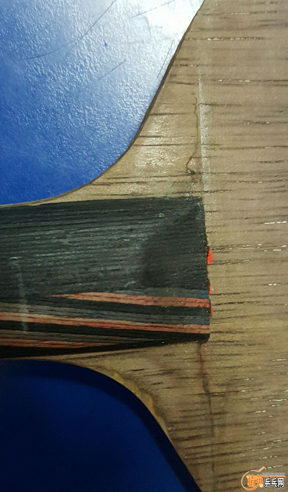 QQͼƬ20160405164153.jpg