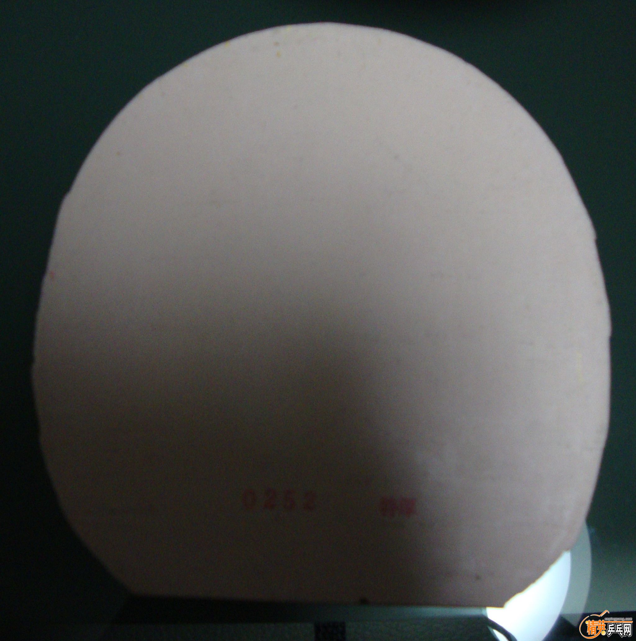 DSC01384.jpg