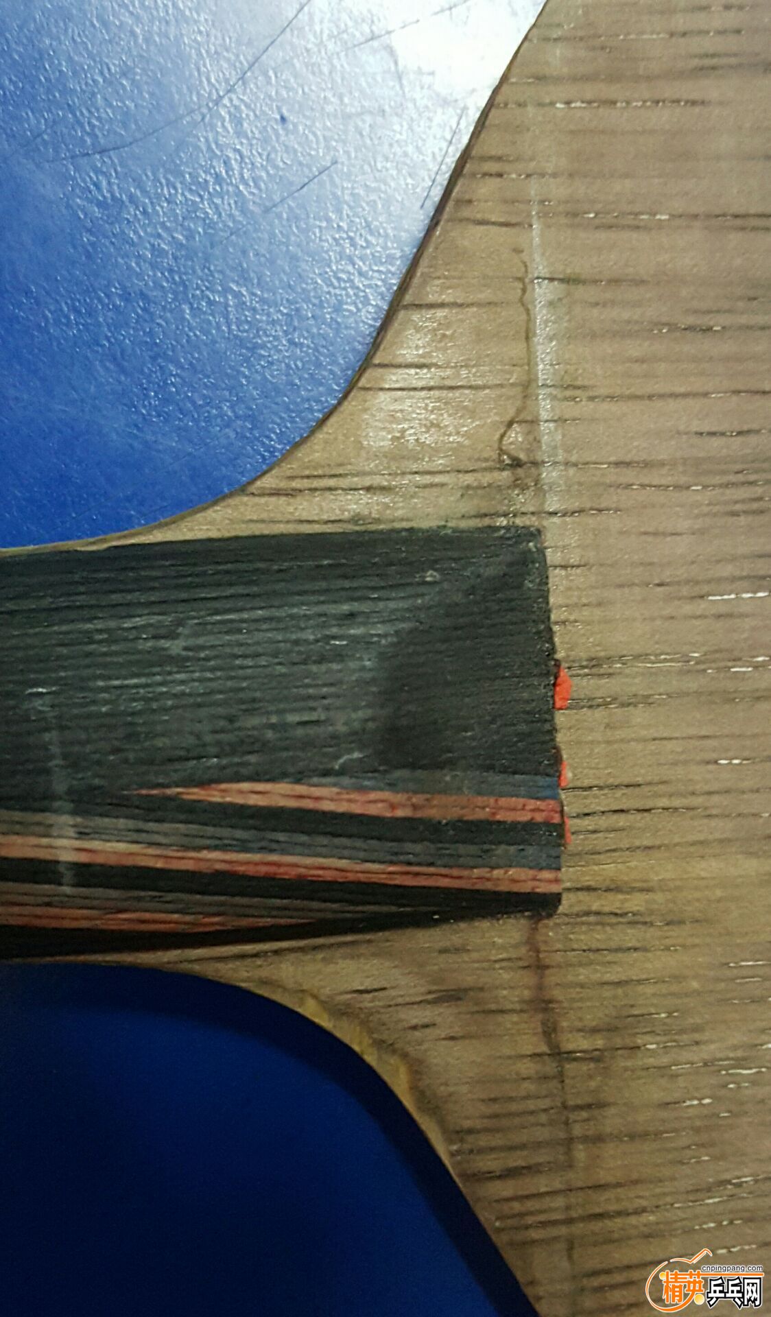164342ns83sxzx888s83x2.jpg