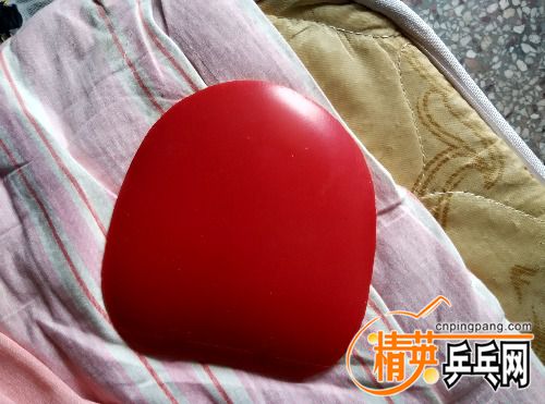 IMG_20160407_120719_HDR.jpg