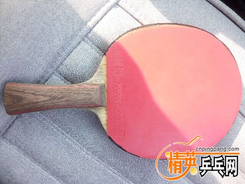 IMG_20160409_155626.jpg