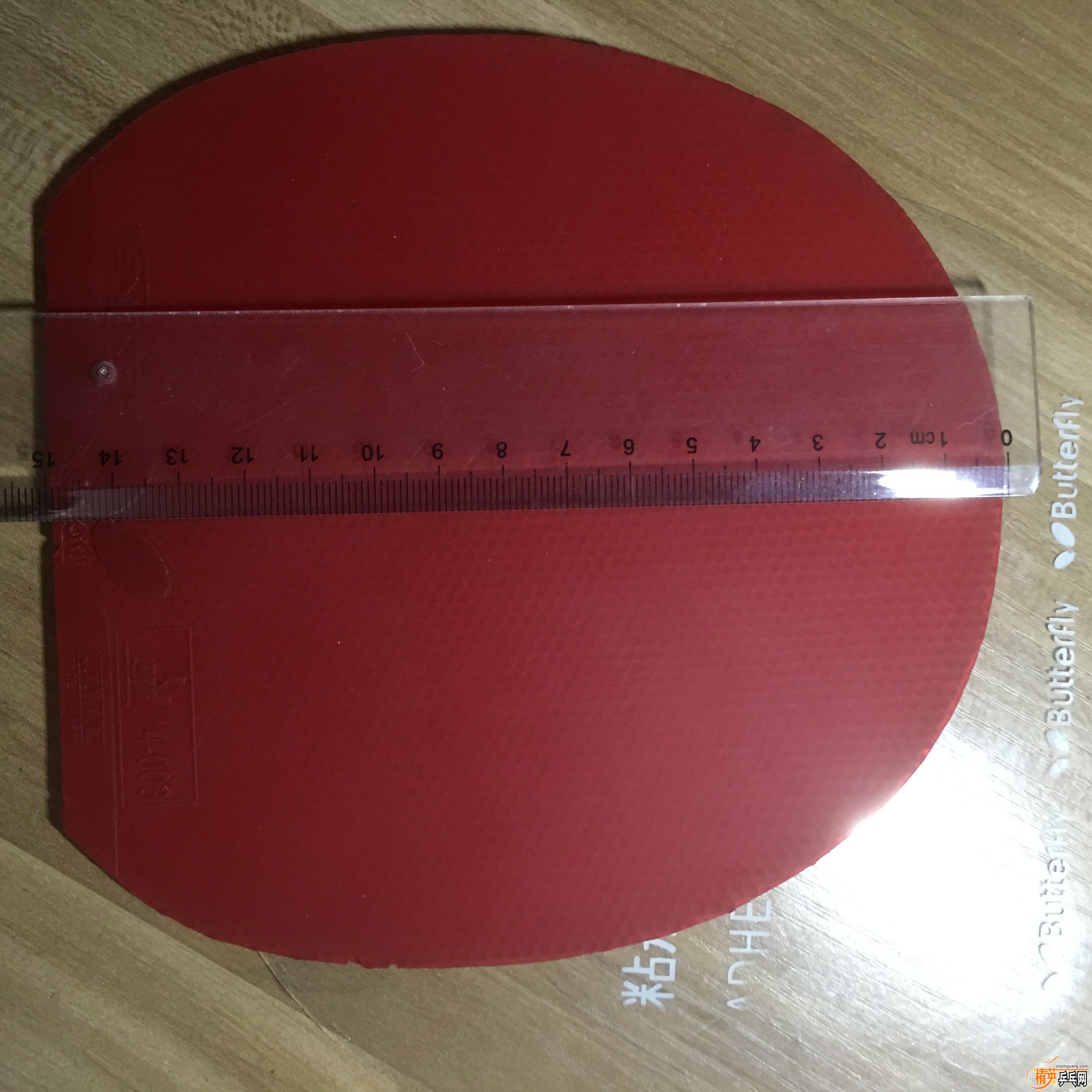 ½ļIMG_0468.JPG