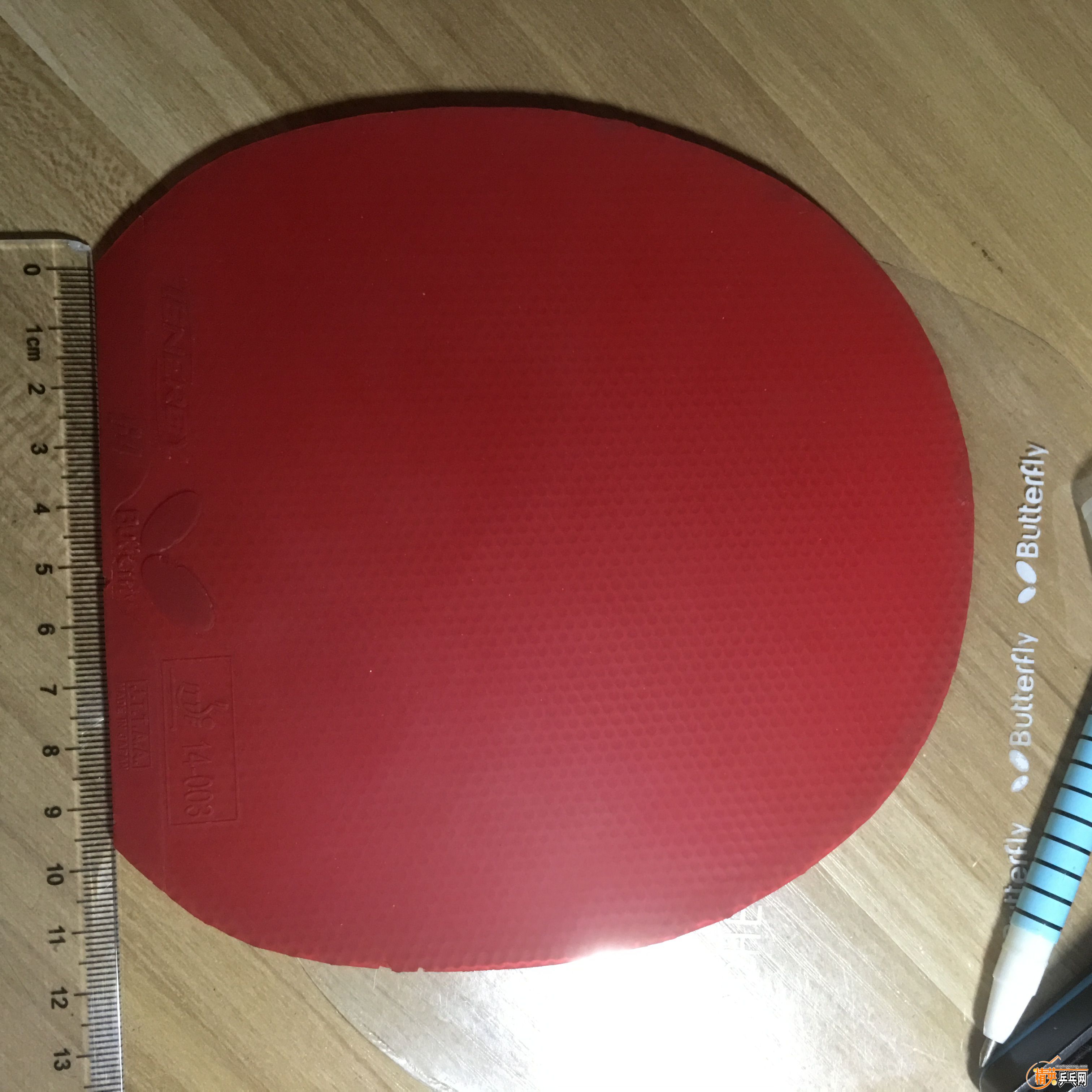 ½ļIMG_0469.JPG