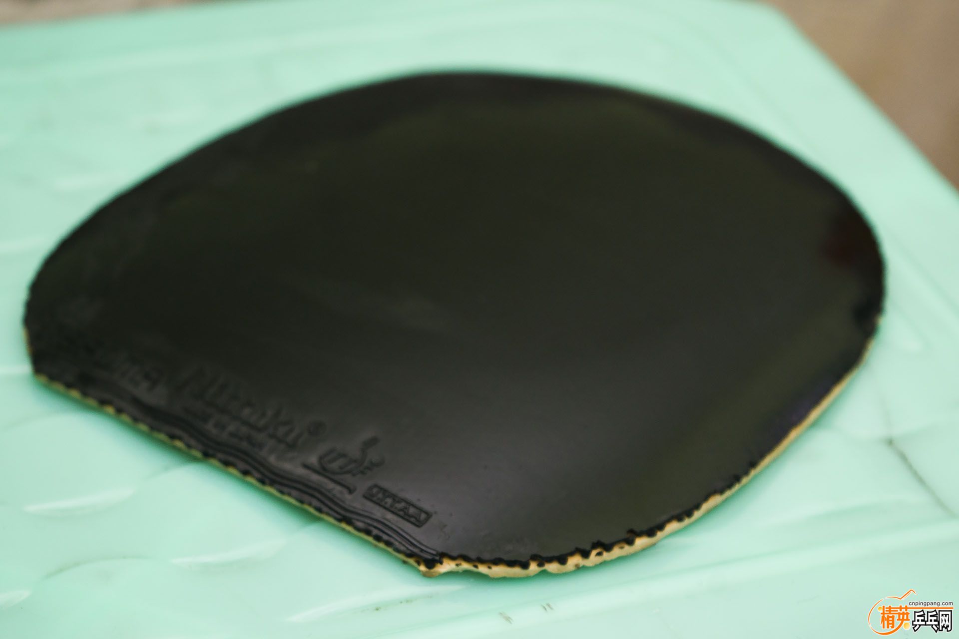 014553t9rvq2rlrm229dcr.jpg