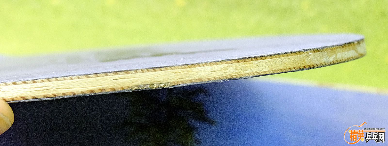 DSCF1308.jpg