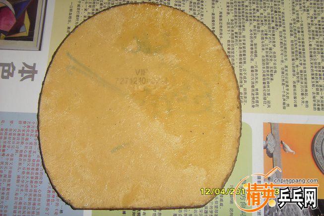 SDC17494.JPG