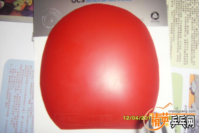 SDC17486.JPG