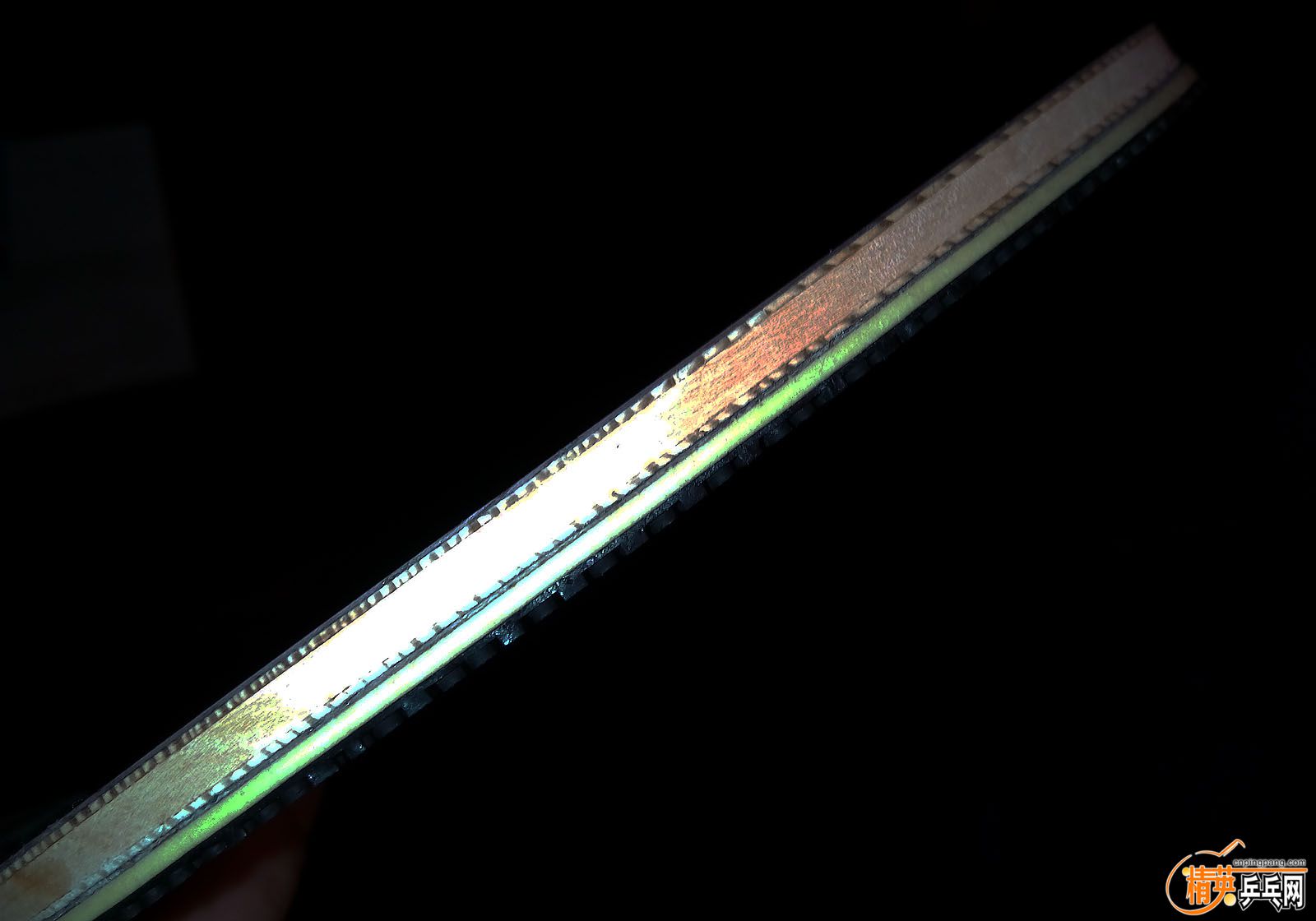 P60413-155033.jpg