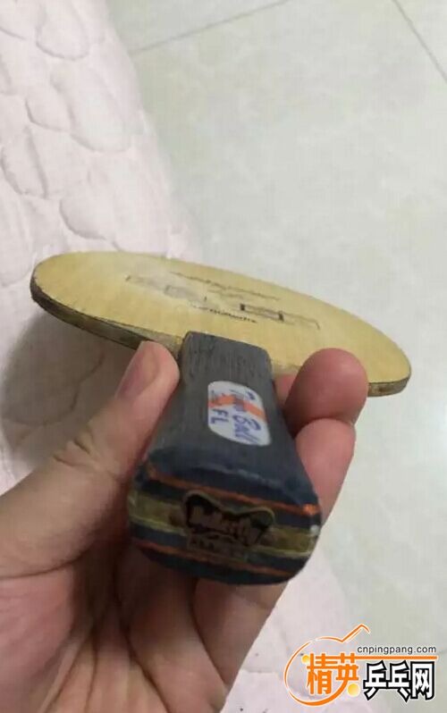 5555.jpg