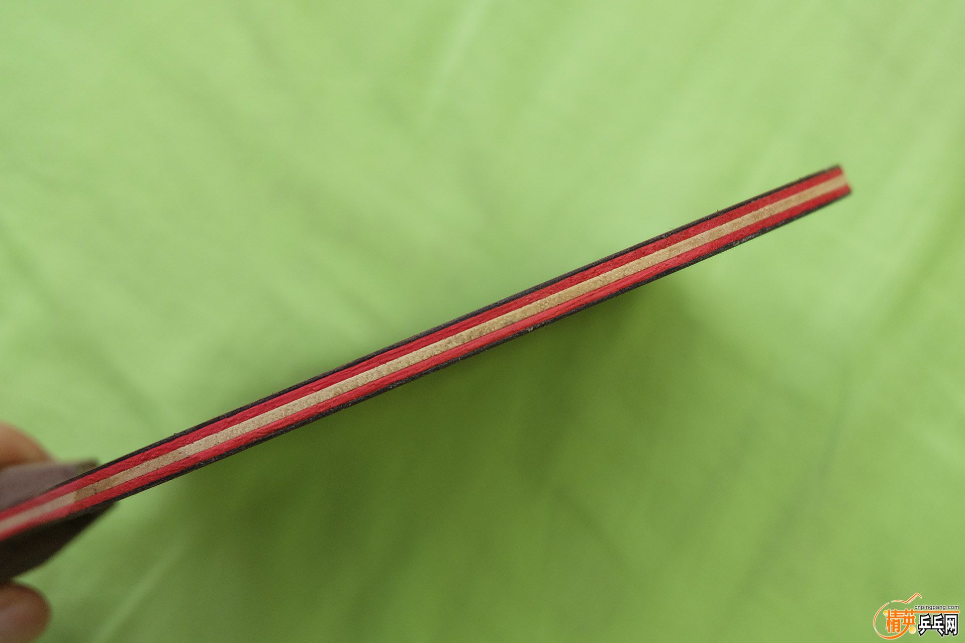 DSCF1518.jpg
