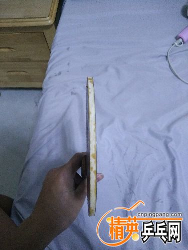 IMG20160416233205.jpg