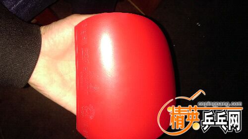 IMAG0019.jpg