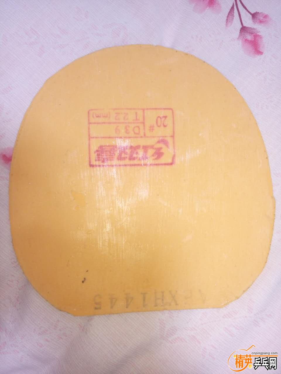 922441536.jpg