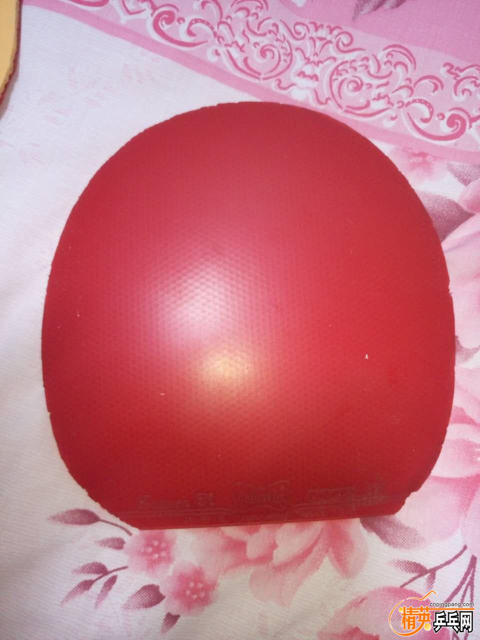 1870503252.jpg