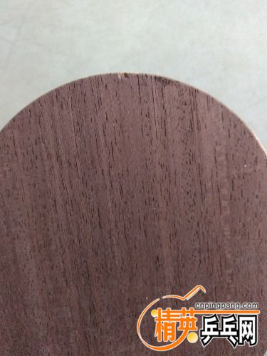 IMG_20160326_170926R.jpg