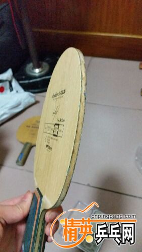 -7095798c3ffb093c.jpg