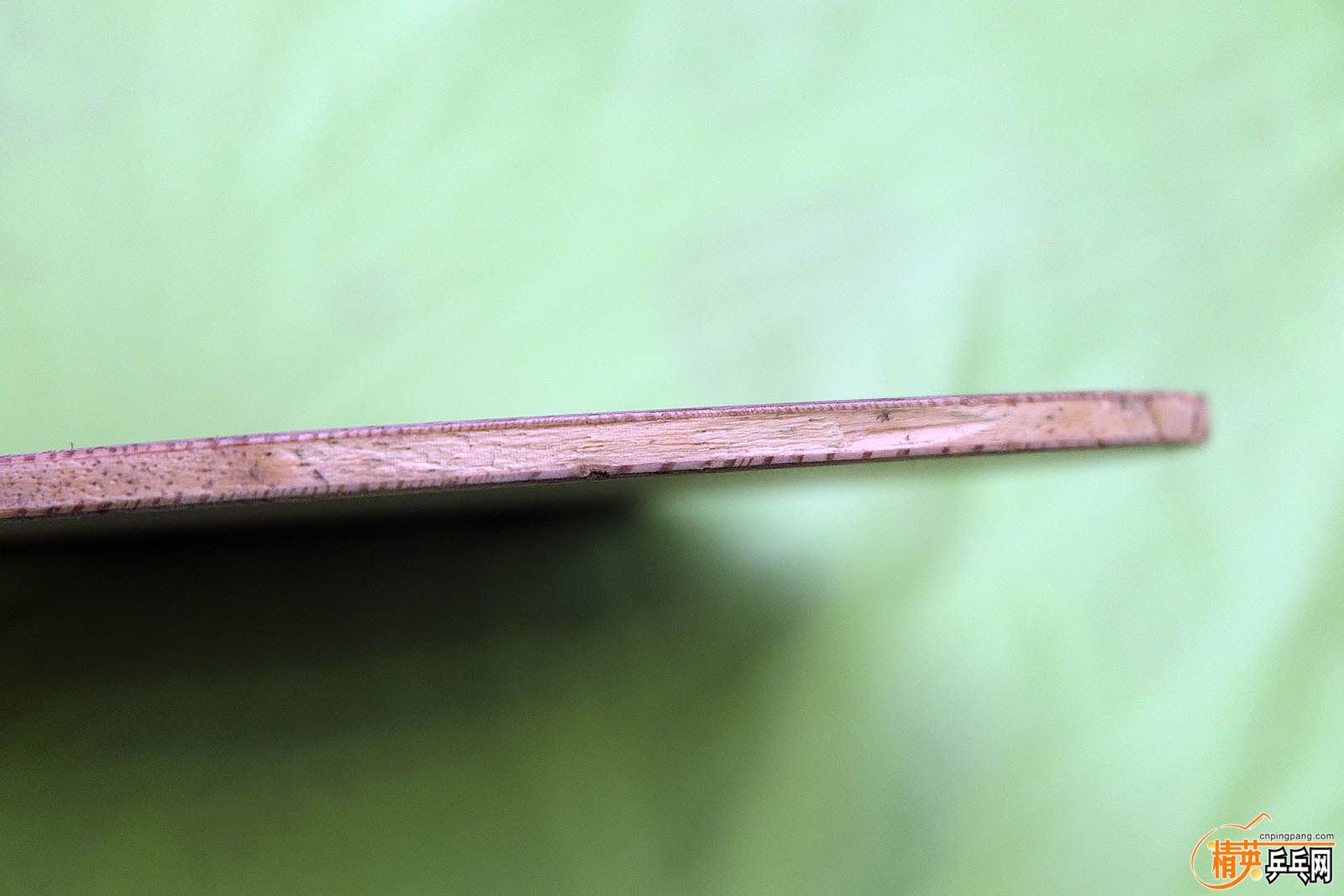 DSCF1534.jpg