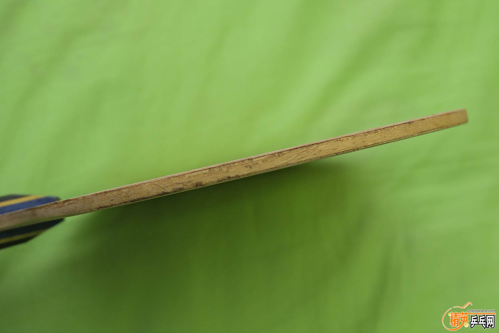DSCF1523.jpg
