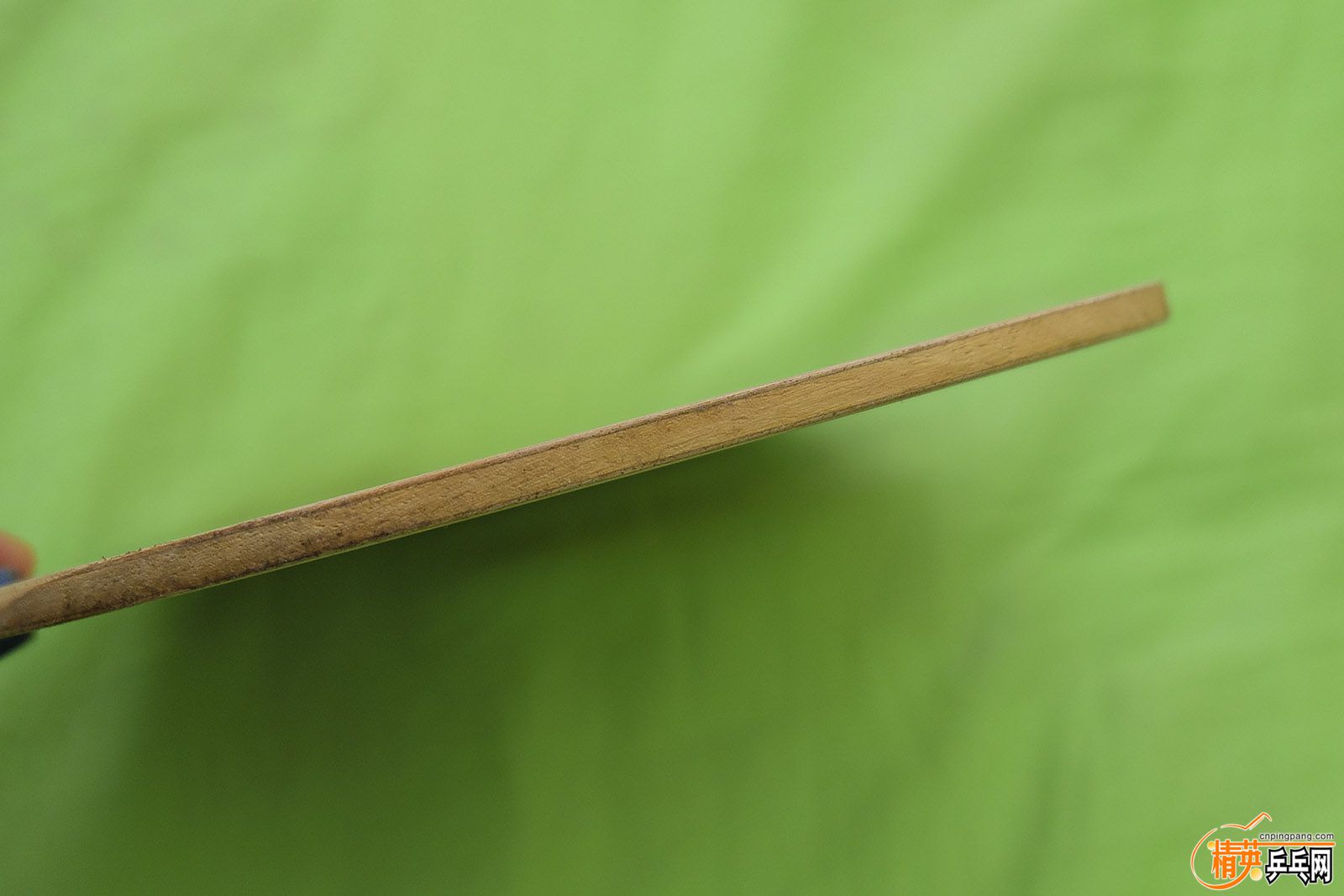 DSCF1524.jpg
