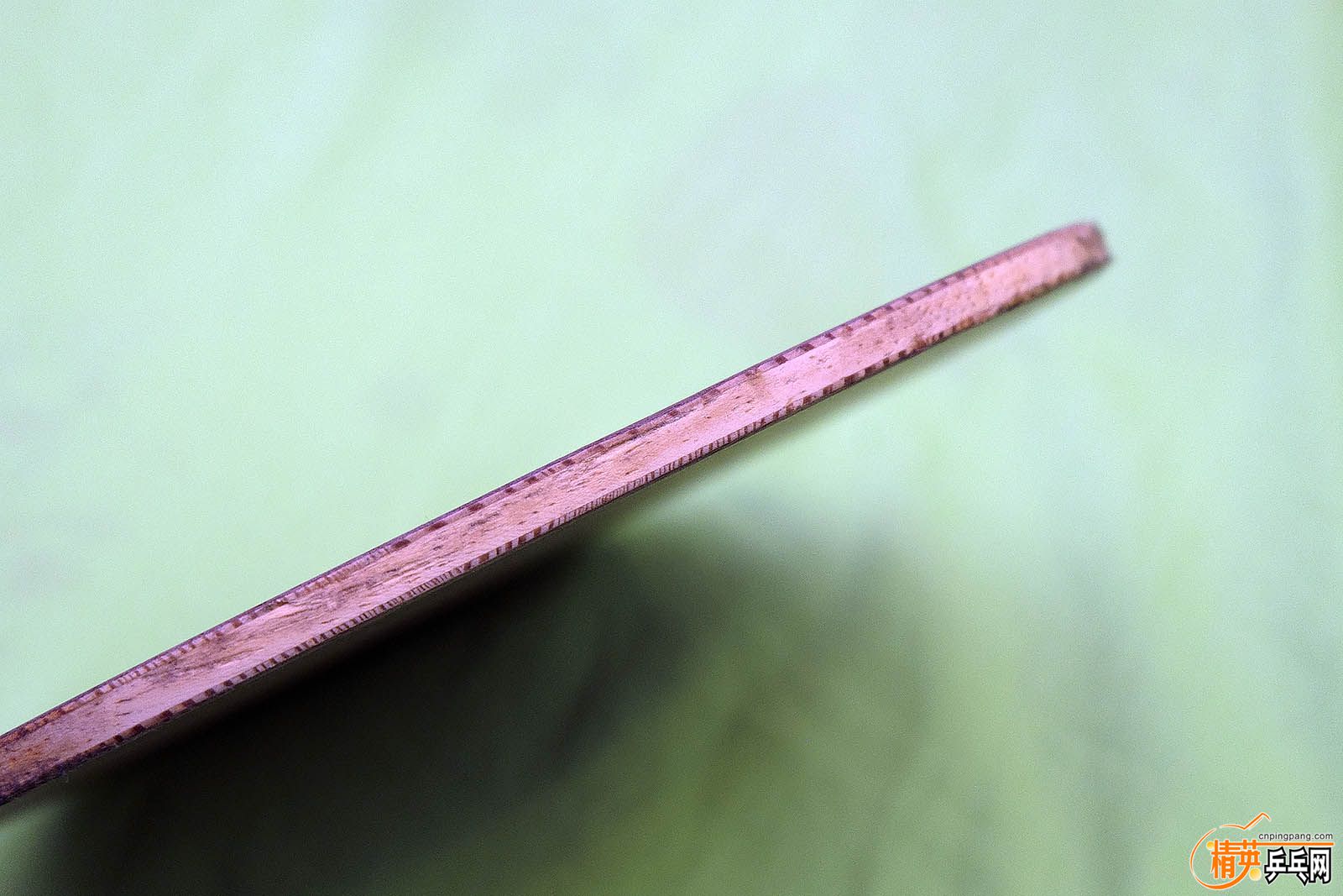 DSCF1533.jpg
