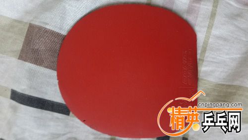 20160417_113653.jpg