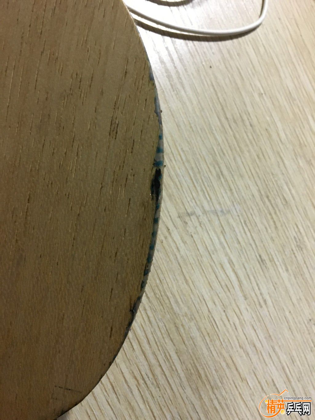 conew_img_1239.jpg