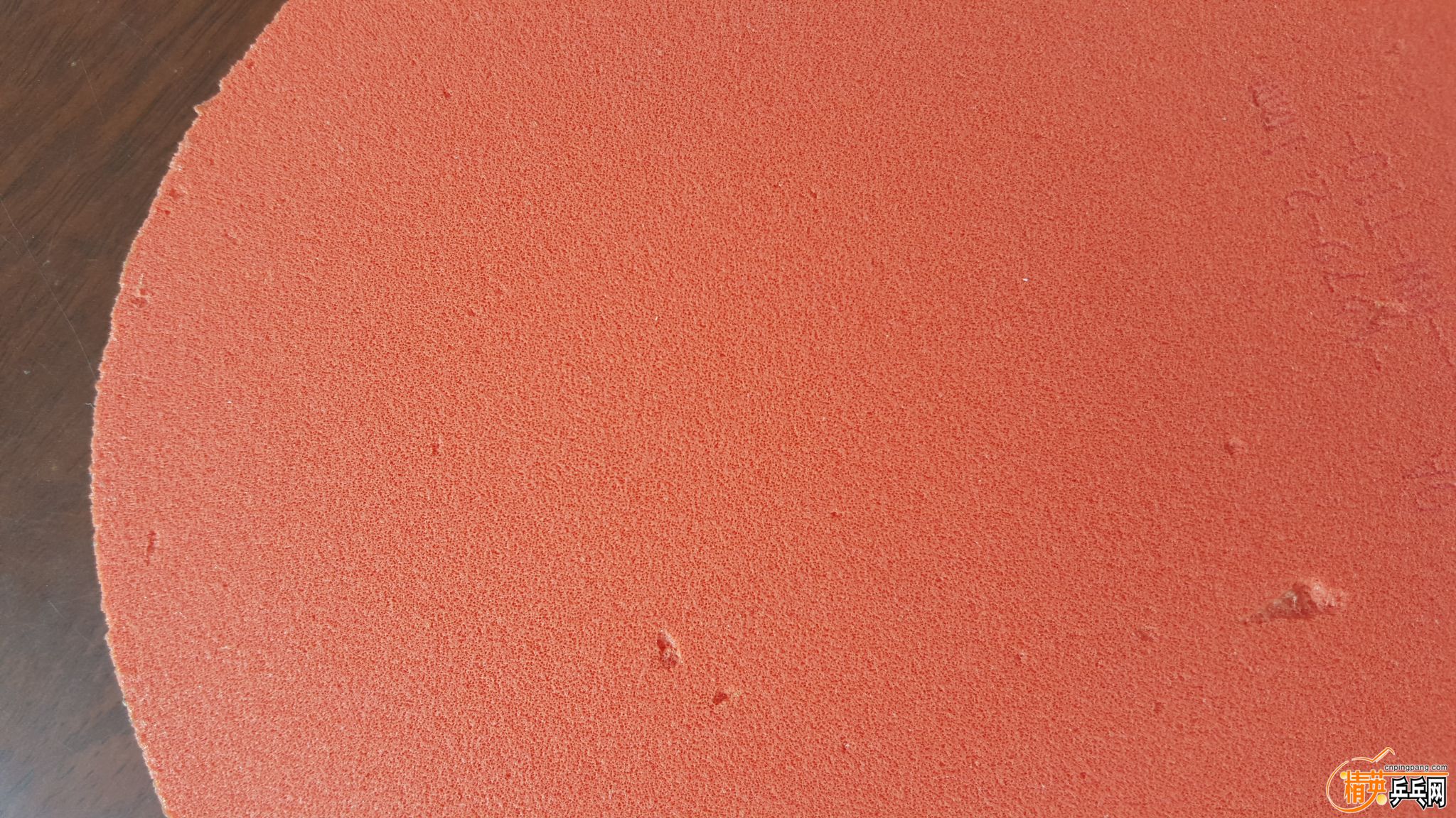 20160426_103153.jpg