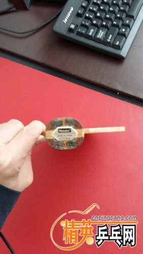 20160428_092909.jpg