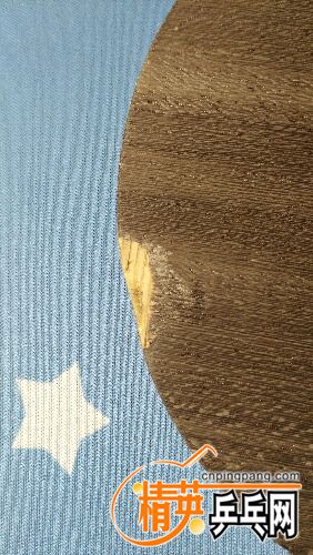 IMG_20160423_143512.jpg