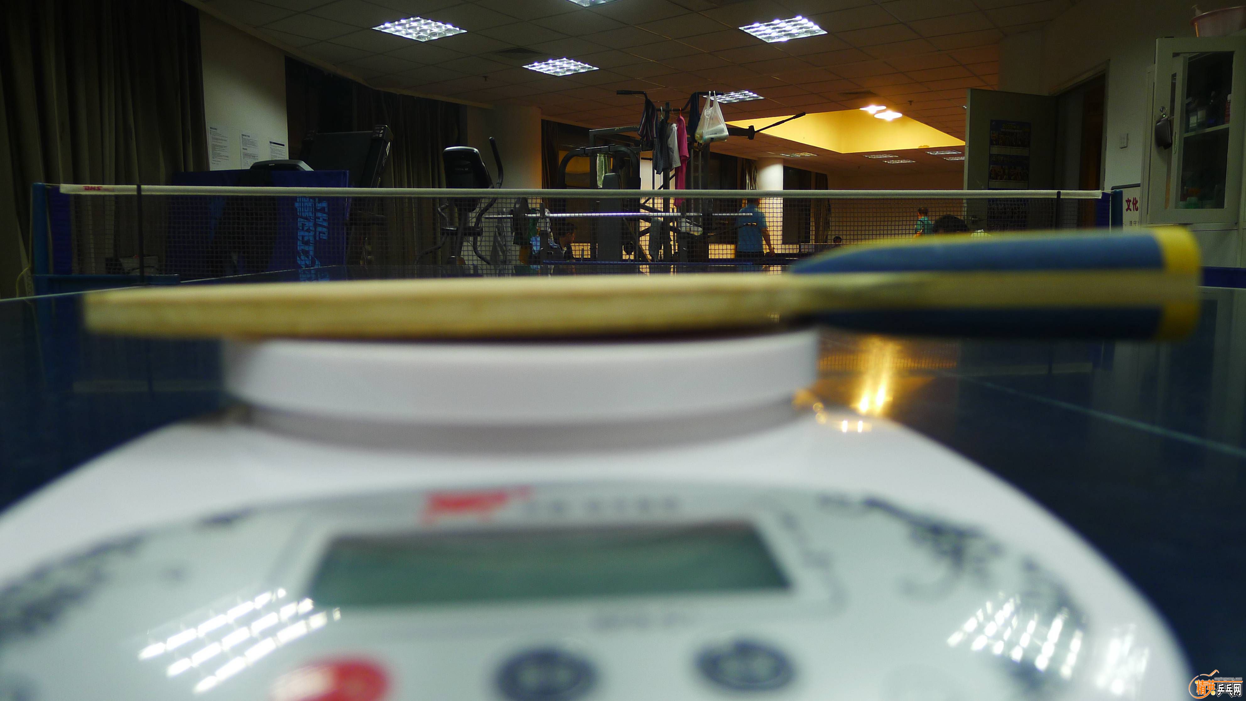 P1020533.jpg