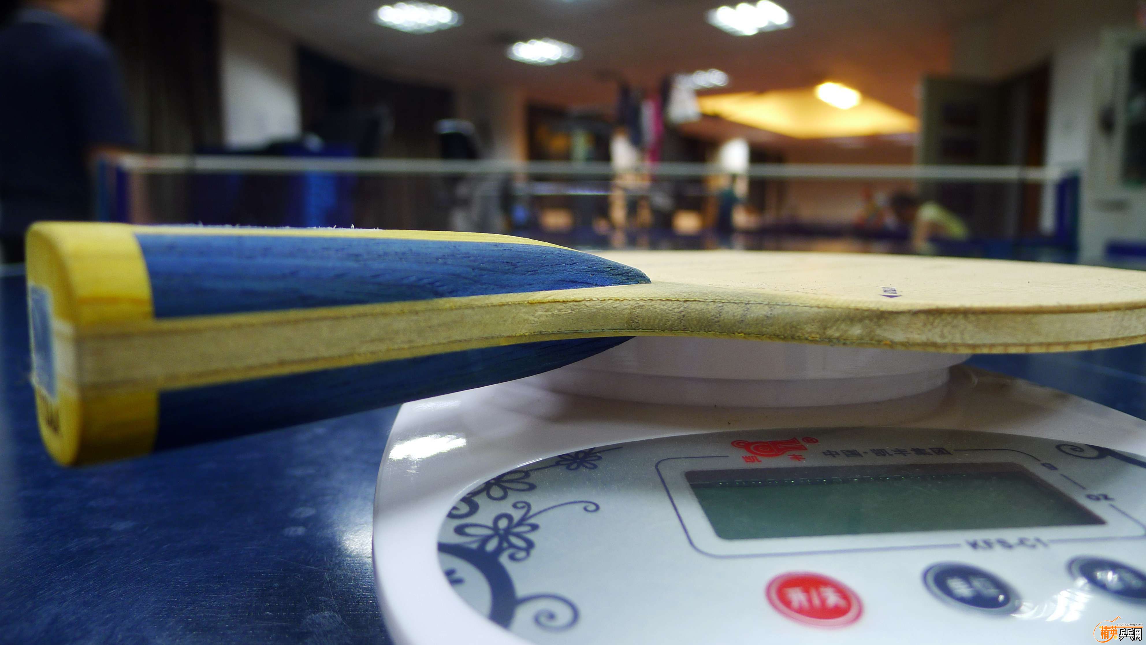 P1020557.jpg