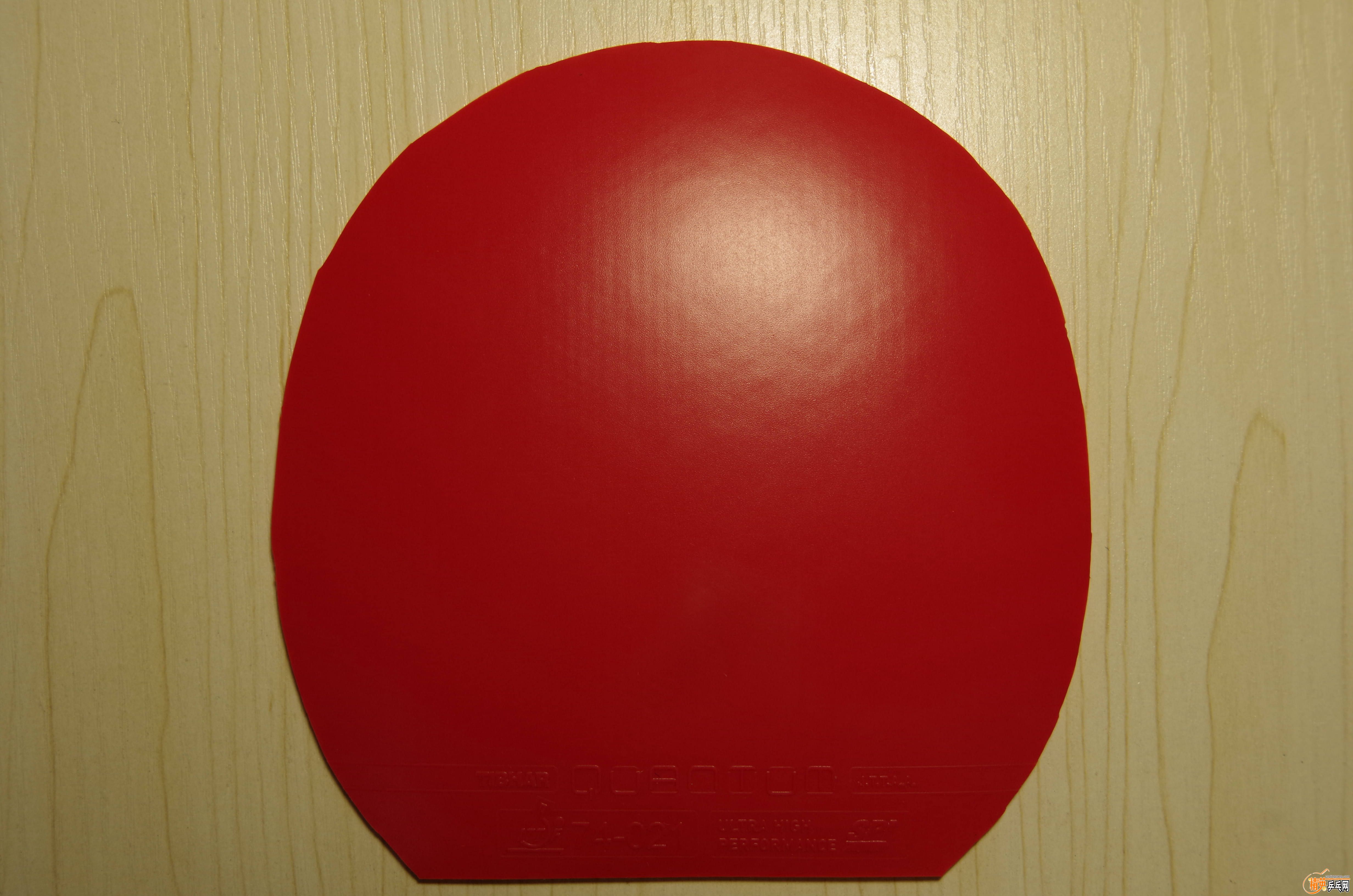 IMGP7687.JPG