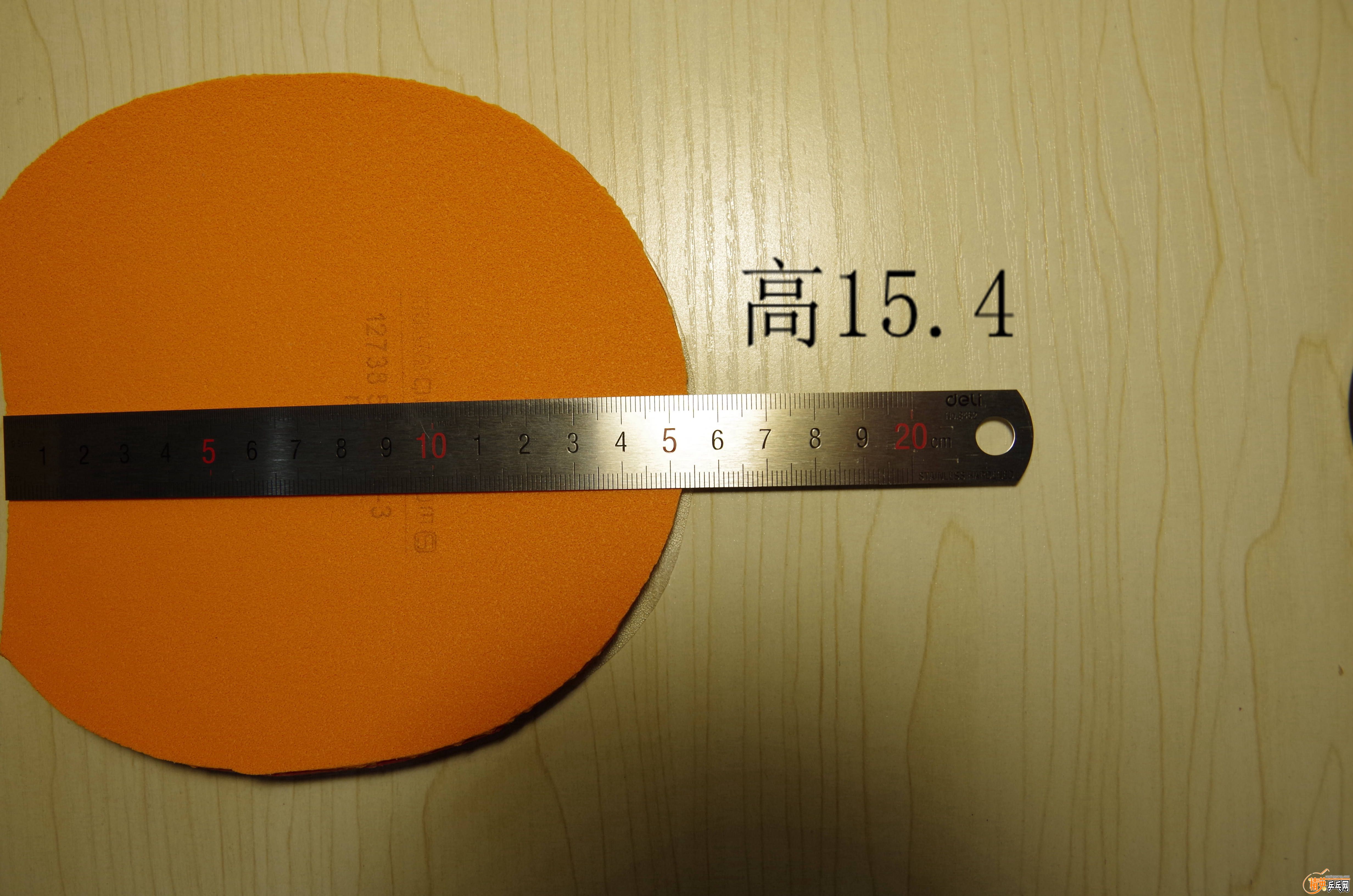 IMGP7695.JPG