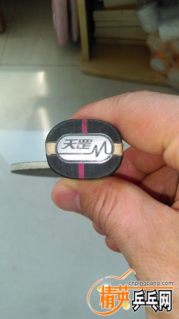 IMAG0241.jpg