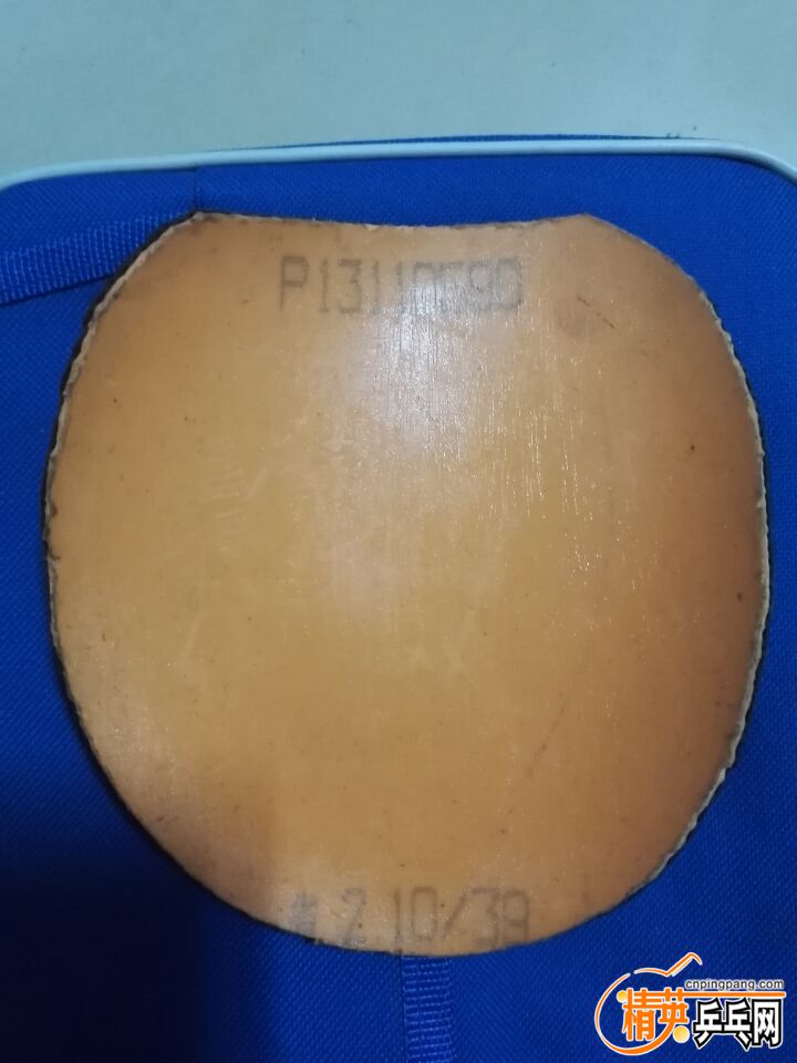 164952pjqexjscspwqveze.jpg
