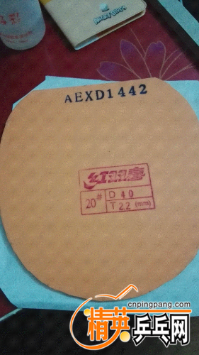 IMG20160501213929.jpg