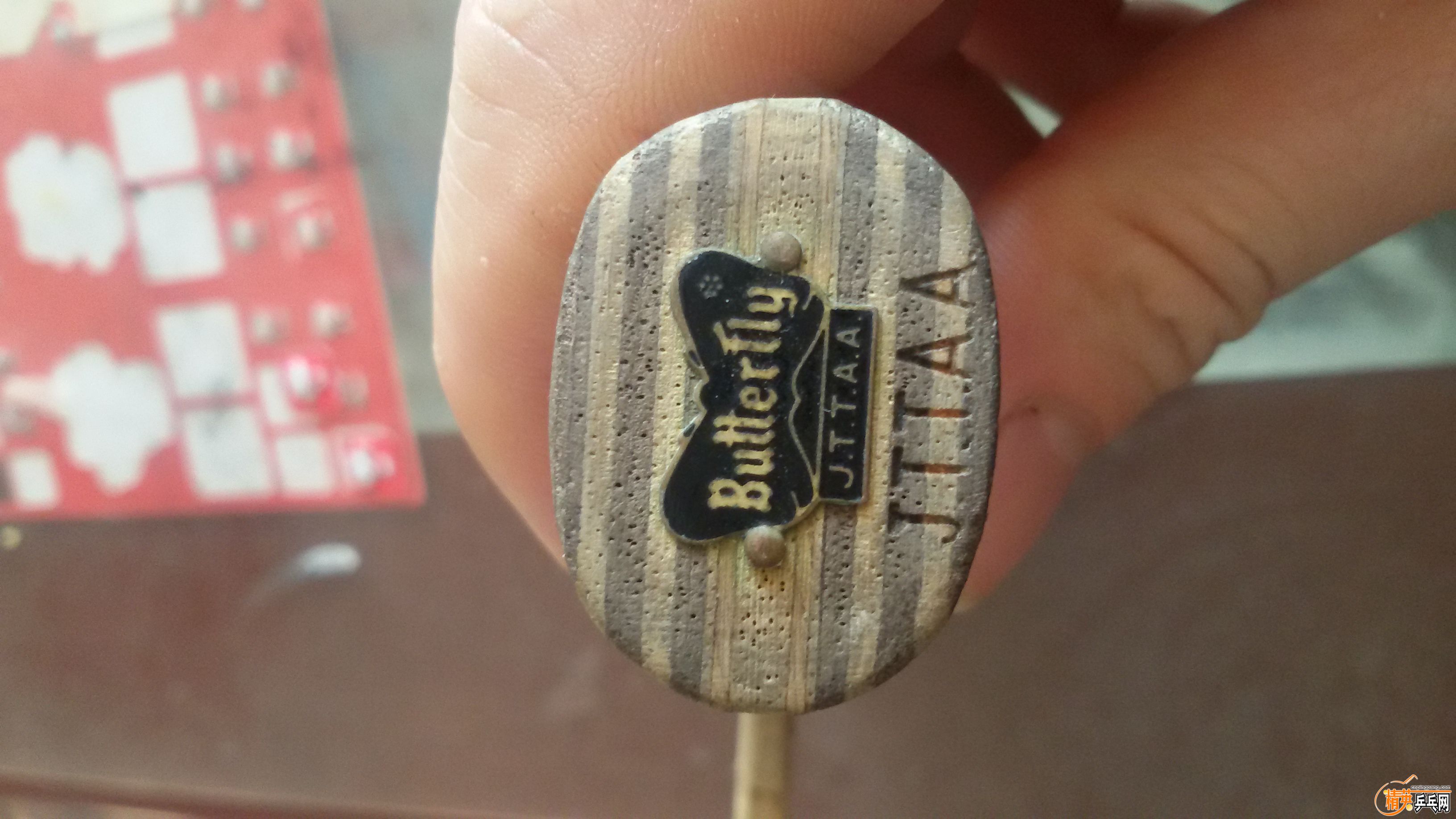 20160419_091720.jpg
