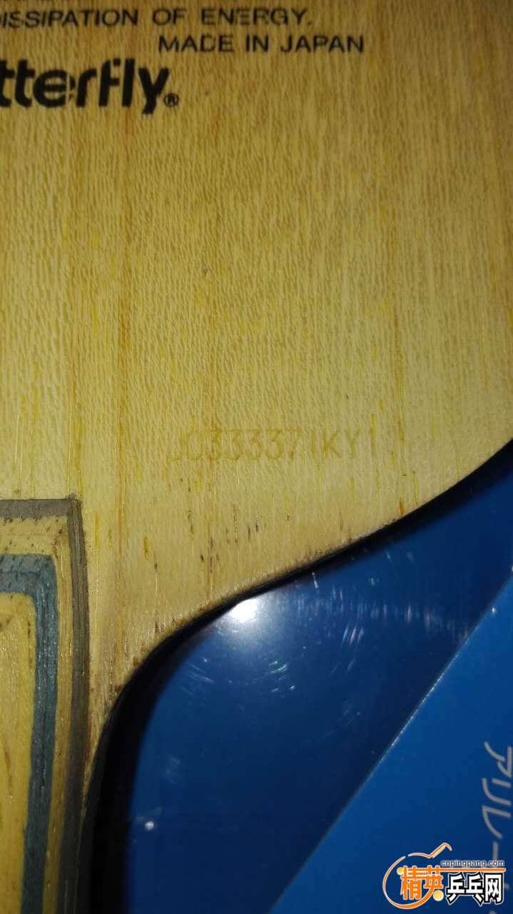 257163523025955866.jpg