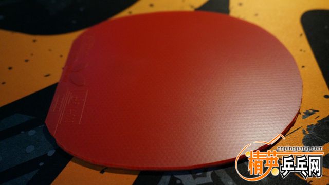 DSC00880_.jpg