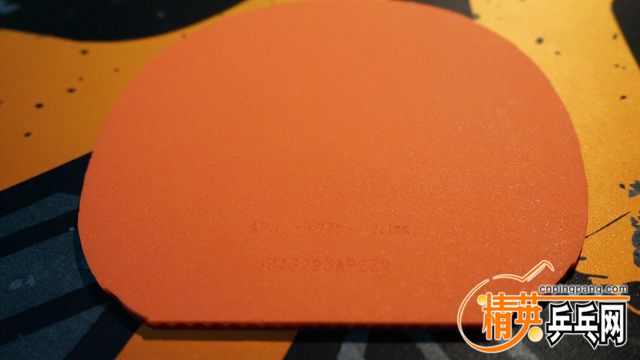 DSC00881_.jpg
