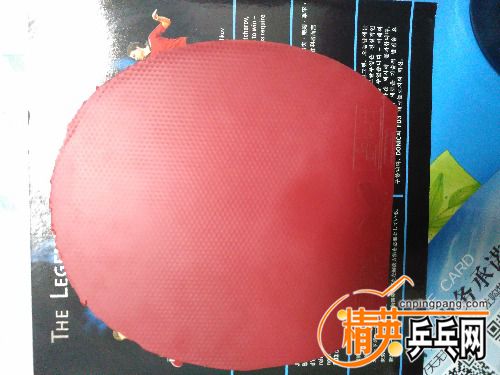 IMG_20160516_102139R.jpg
